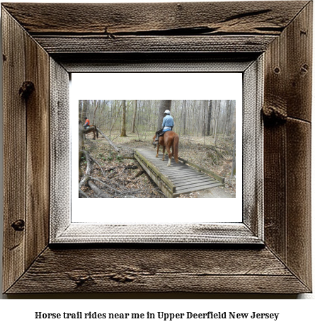 horse trail rides near me in Upper Deerfield, New Jersey